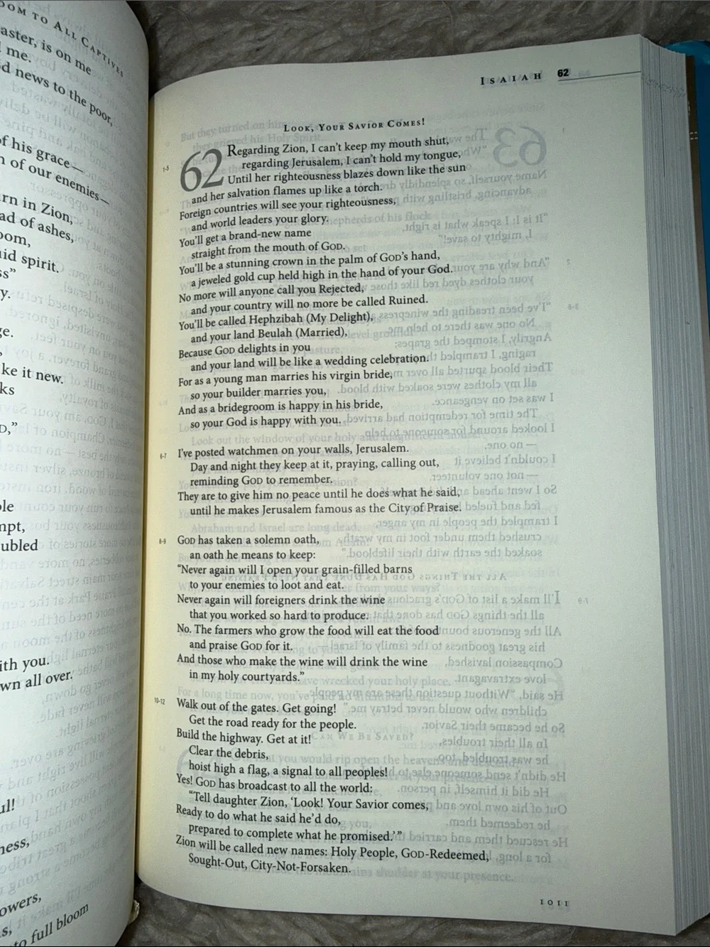 Women of Faith the message devotions book